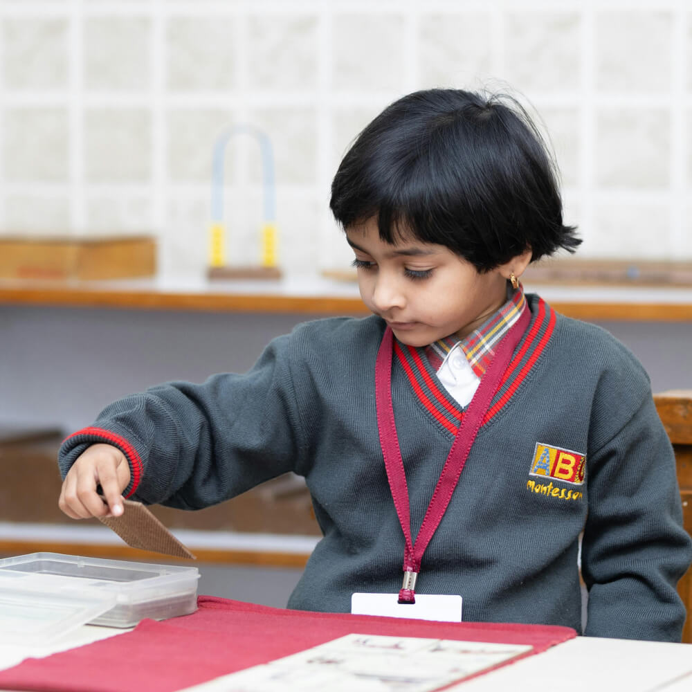 Motor Skill Development